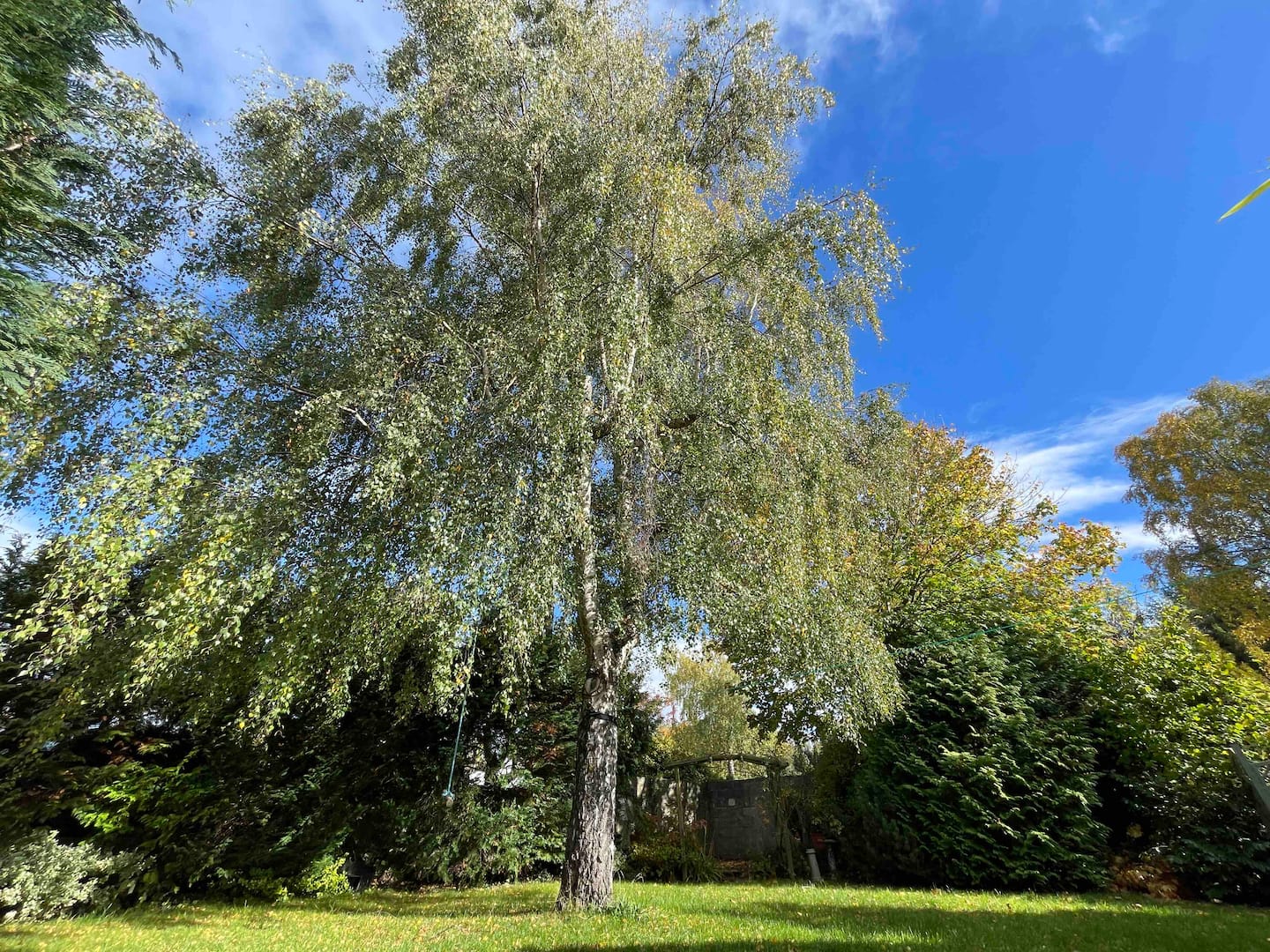 Garden at Edge View — enclosed, private and surrounded by Peak District countryside